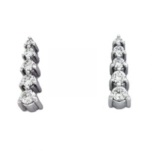 White Gold Journey Earring