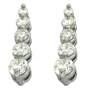 White Gold Journey Earring