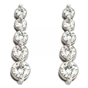 White Gold Journey Earring